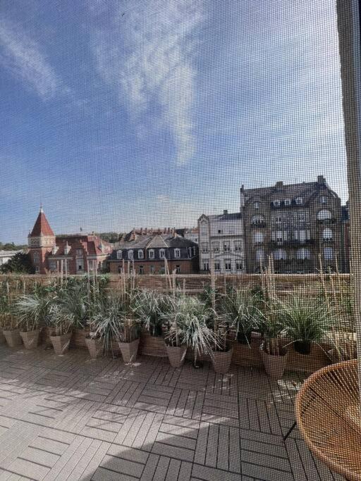 Appartement Cosy Orangerie Štrasburk Exteriér fotografie